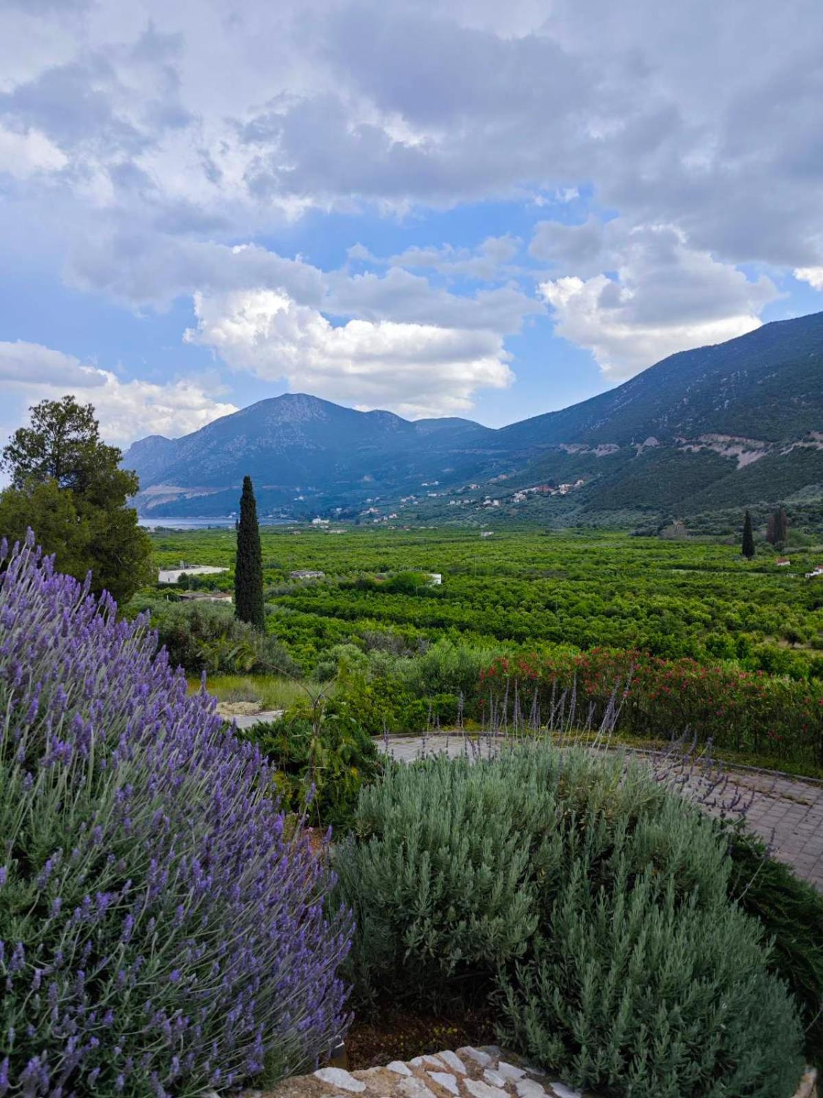 Melissafarm Guest House Epidaurus Exterior photo