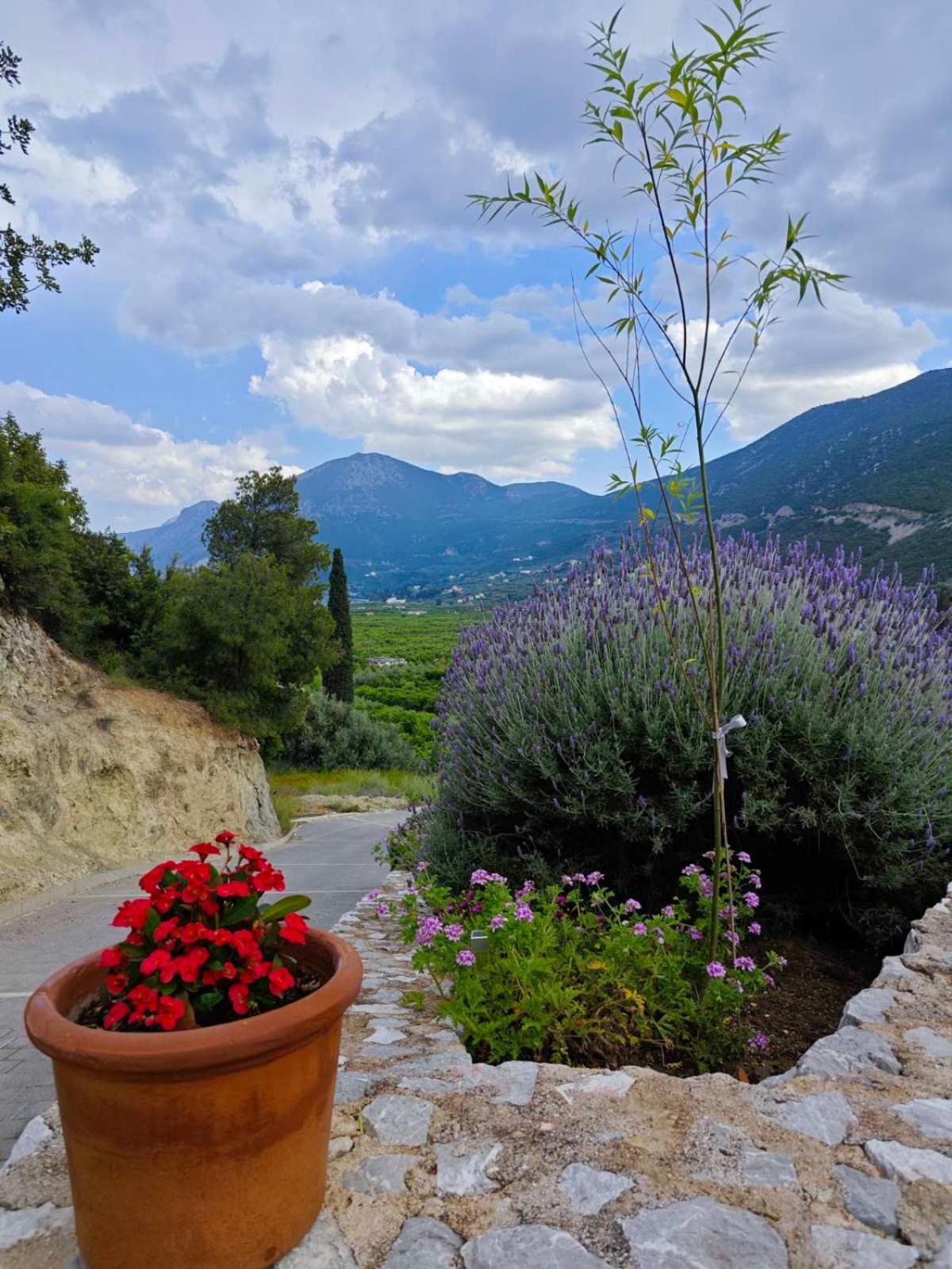 Melissafarm Guest House Epidaurus Exterior photo